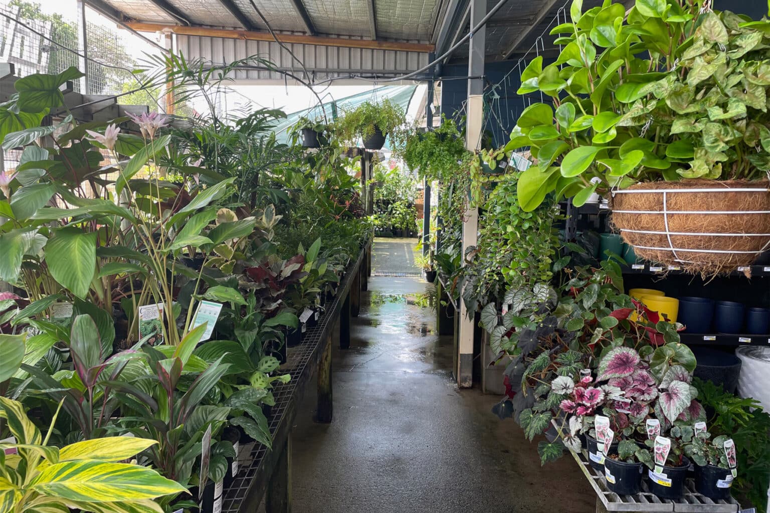 InnisfailHardwareGardenCentre Cairns Hardware